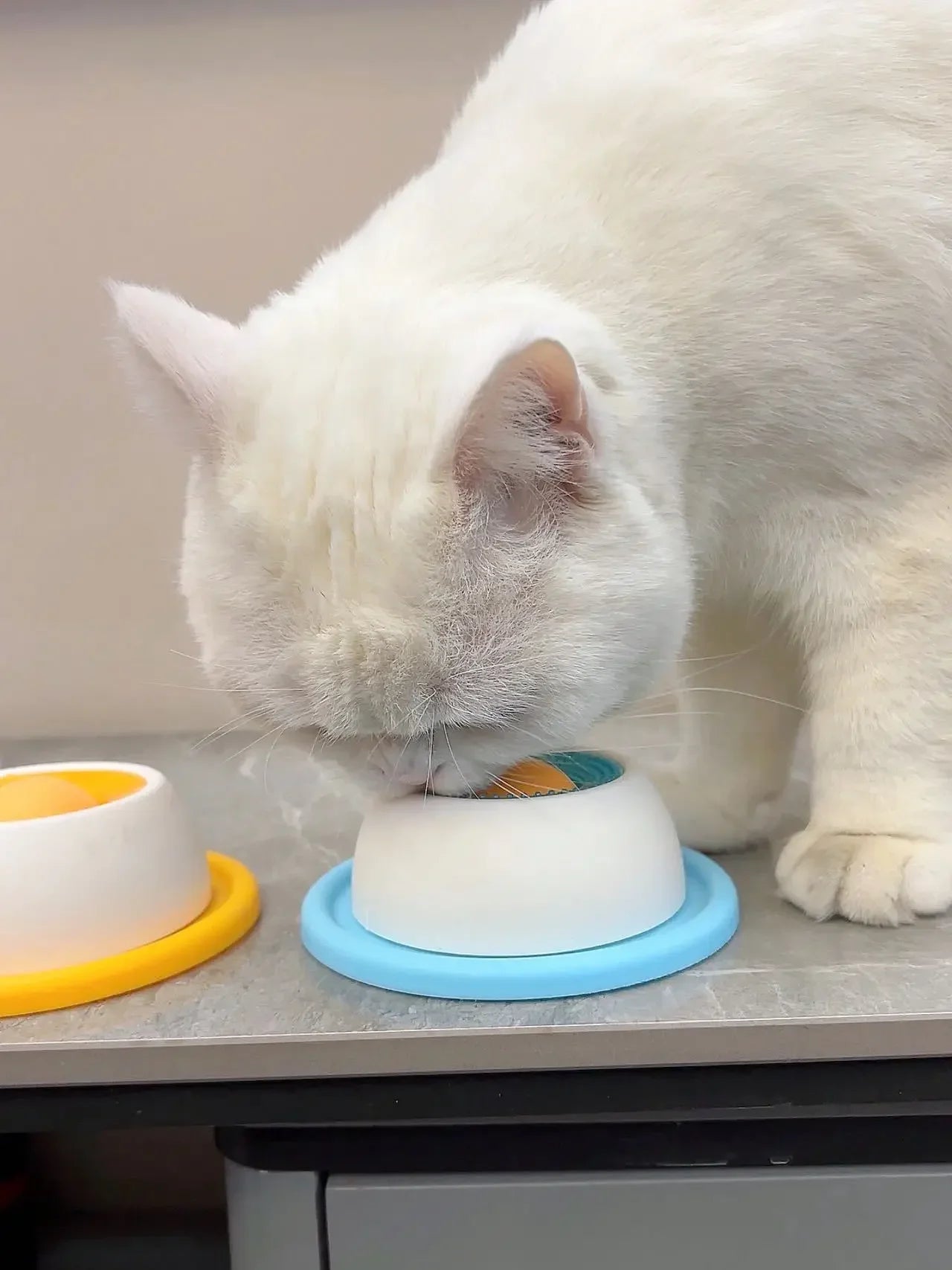 Pet Lick Toy Slow Feeding Dispenser Interactive Enrichment Training Crate Accessory for Dog Cat Puppy
