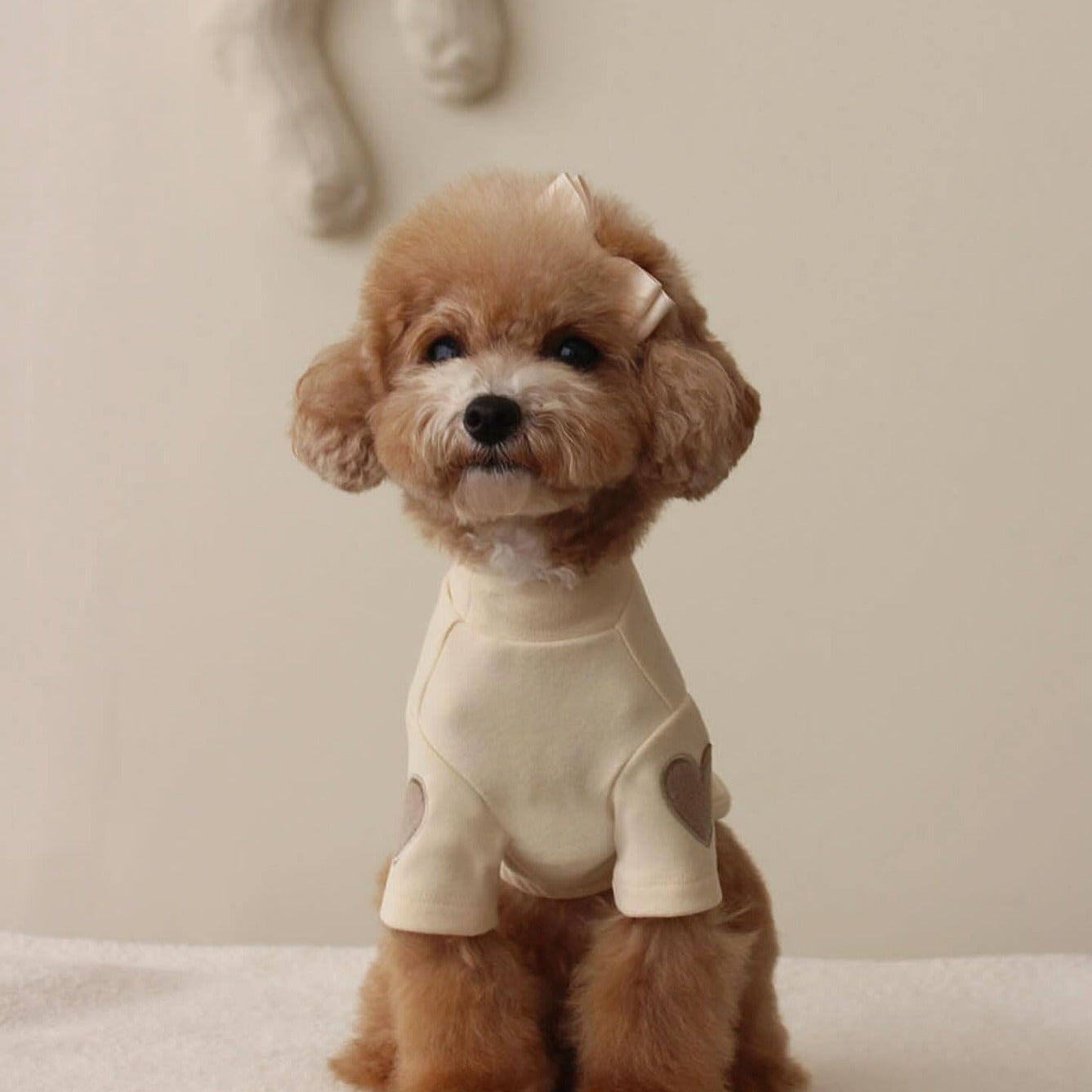 New Dog Clothes Autumn And Winter Base Embroidery Sweater
