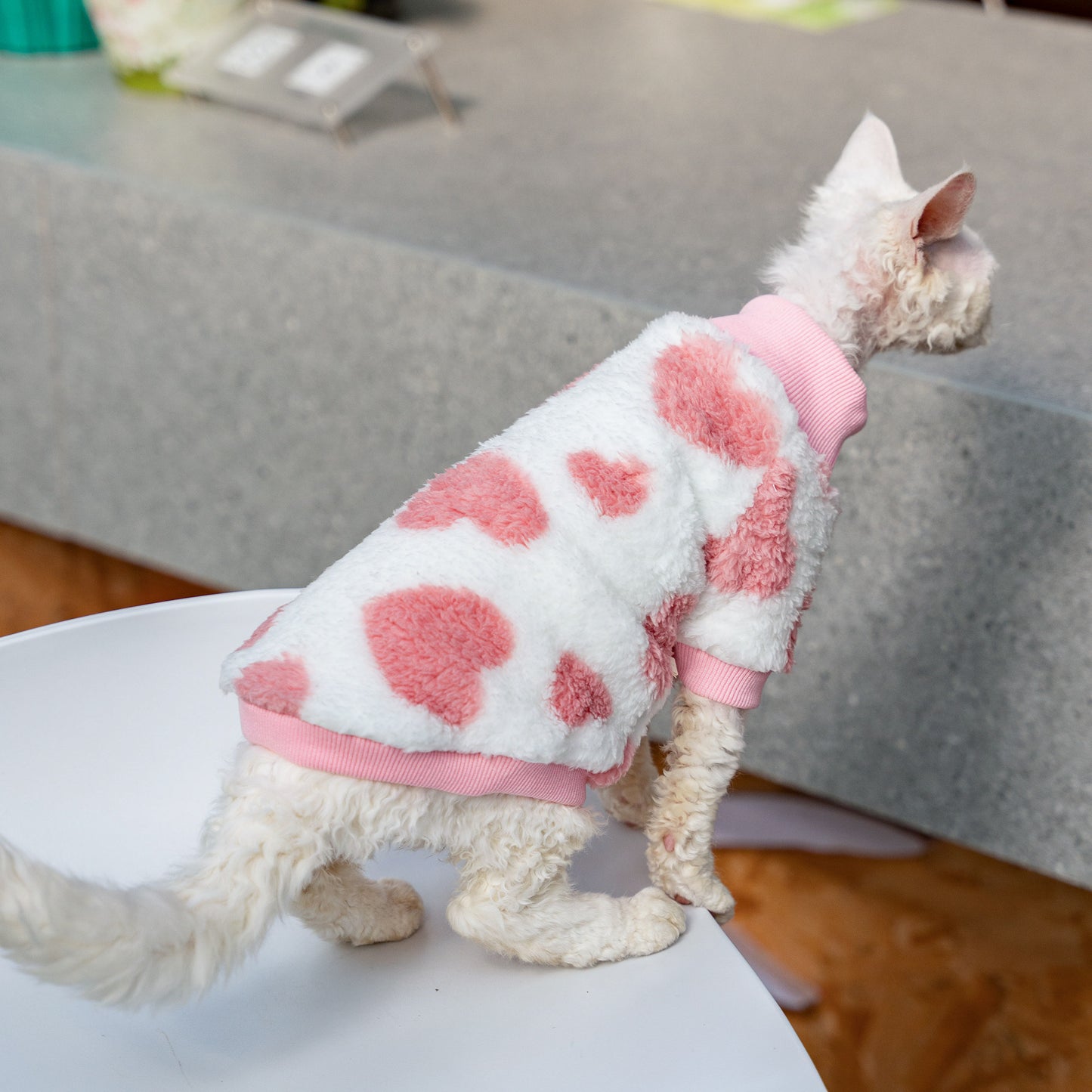 Warm Double-sided Fleece Cat Clothes