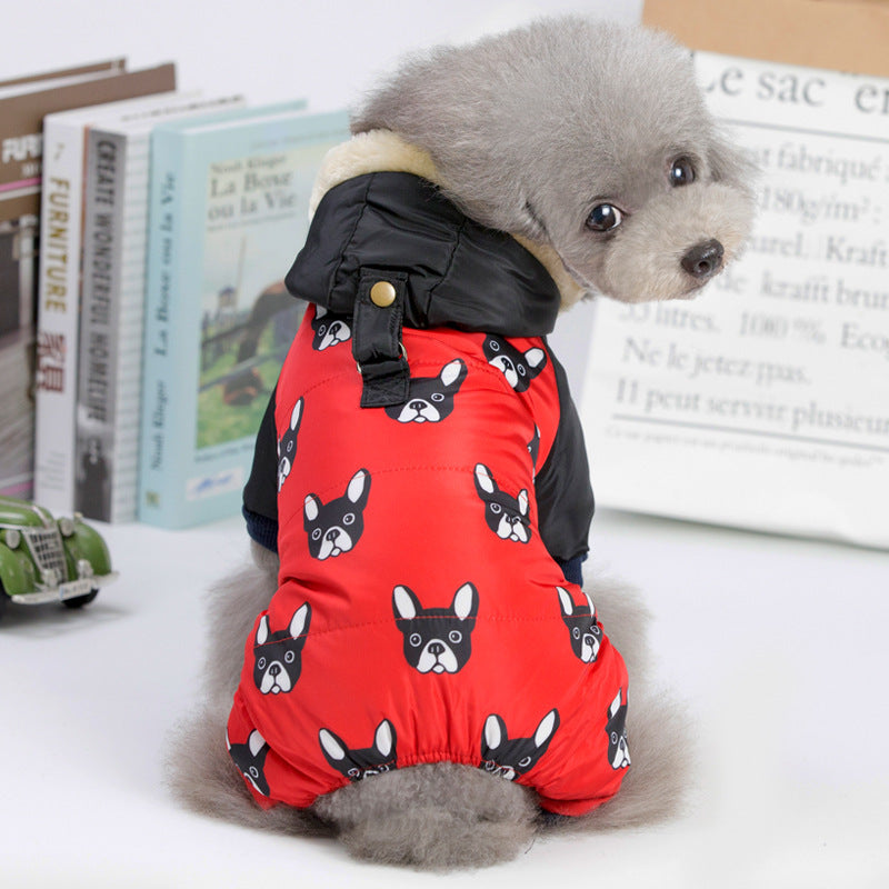 Dogs four-legged clothes