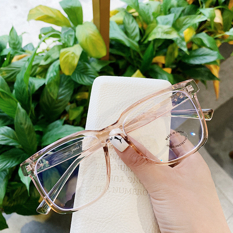 Optical glasses