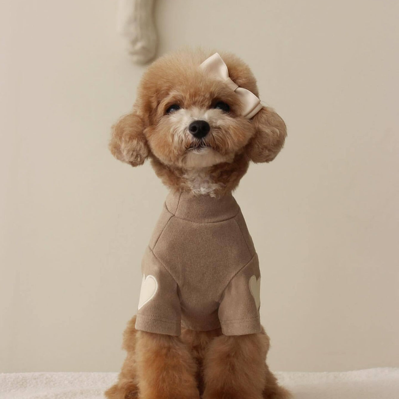 New Dog Clothes Autumn And Winter Base Embroidery Sweater