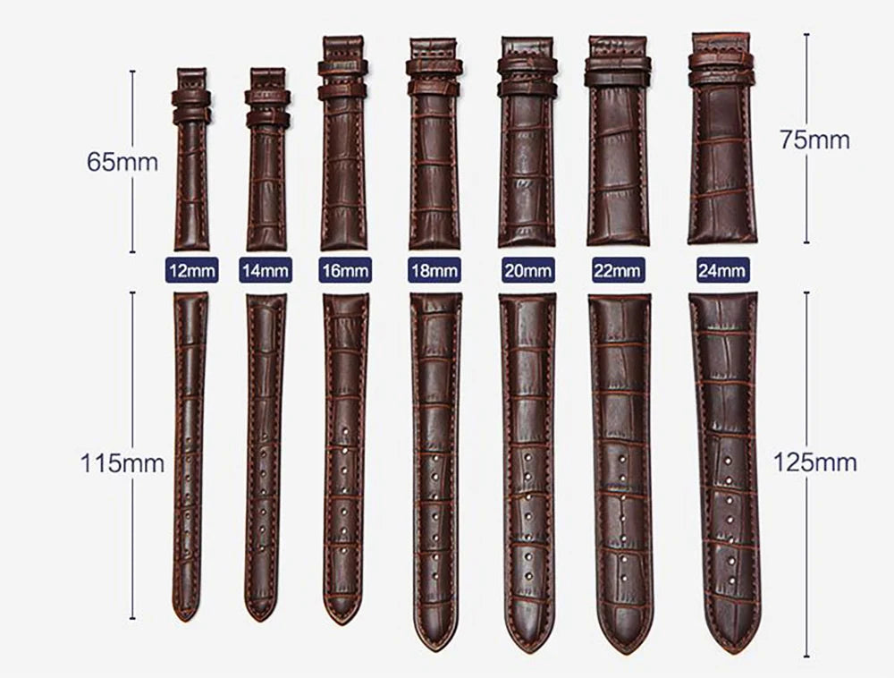 Premium Genuine Leather Watchbands 12/14/16/18/19/20/21/22/24 mm Watch Band Strap High Quality Wrist Belt Bracelet + Tool