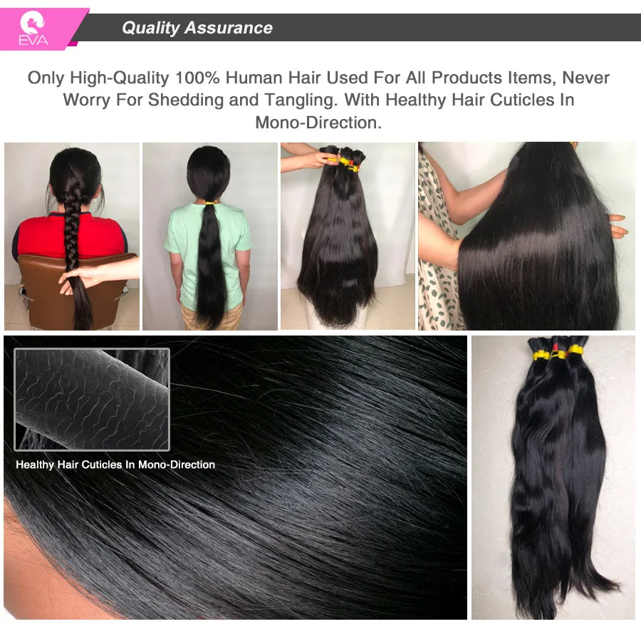 Eva 5x5 Hd Lace Closure Straight 13x4 Lace Frontal Closure Hand Tied Human Hair Closures Free Part Hd Lace Closure Pre Plucked