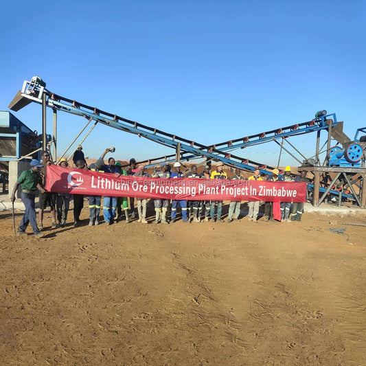 240TPD Lithium Ore Lepidolite Concetrate Spodumene Beneficiation Plant
