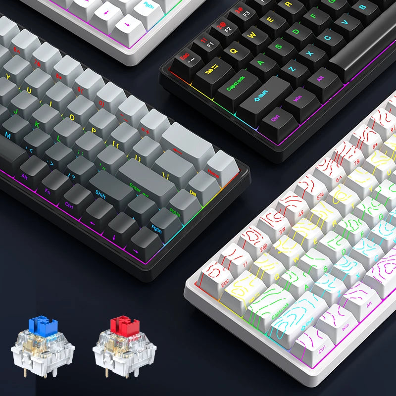 APAYADO A68 Wired Mechanical Keyboard RGB Backlight,Fully Hot-Swappable Keys,ABS Keycaps,68-Key Keyboard for Gaming/Office Use