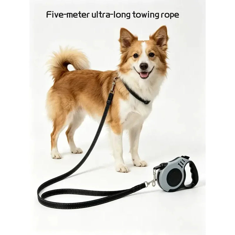 Automatic Retractable Pet Leash, Durable Walking Rope Chain for Dogs Cats, Portable Outdoor Dog Walking Strap