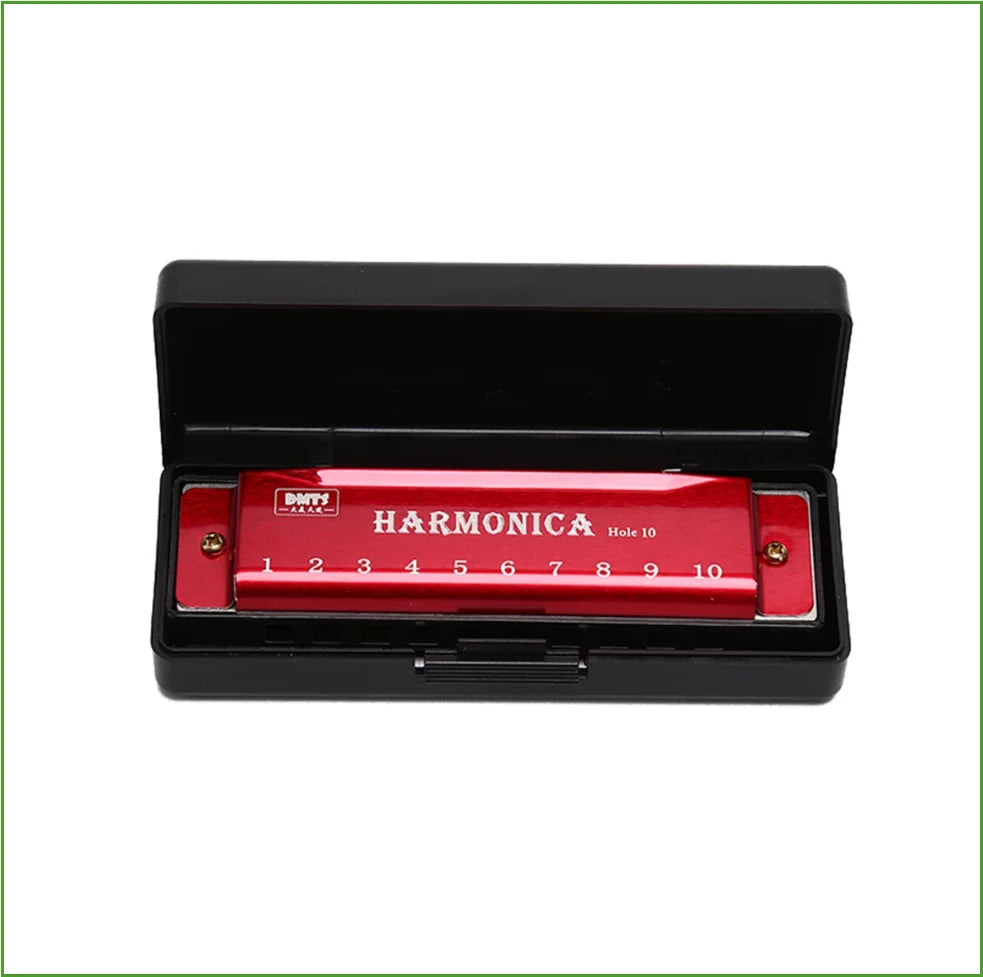 Harmonica Key of C 10 Hole Diatonic Harmonica C with Case for Beginner Students Kids Gift with Case