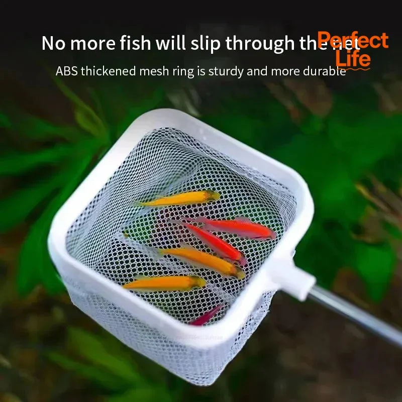 1、2Pcs Stainless Steel Fishing Landing Net Rustproof Corrosion Resistant for Catching Fish Shrimp Aquarium Tank Accessories