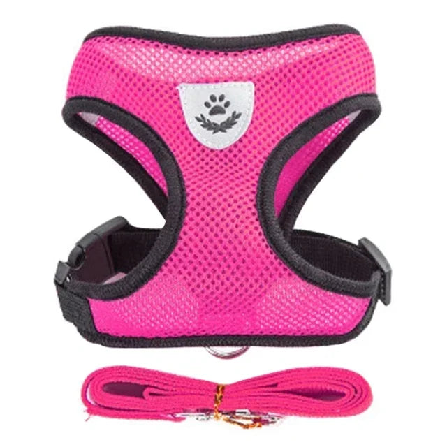 Adjustable Mesh Pet Harness with Leash, Polyester Vest Type Walking Strap for Small Medium Cats Dogs