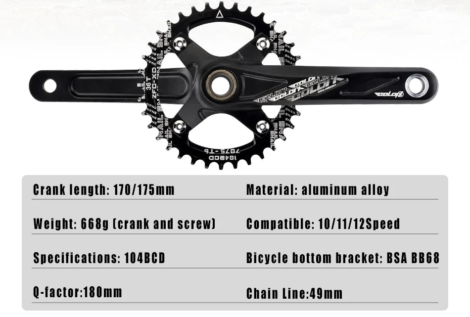 GOLDIX Bicycle Crank Chainring 104BCD MTB Bike Crank Aluminum Alloy with Bottom 170mm Crank Black 32T 34T 36T 38T Plate