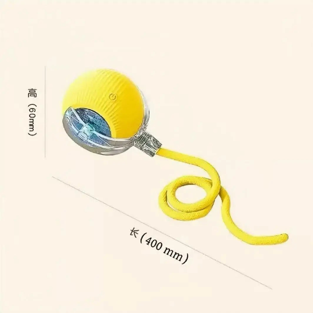 ETPU Dog Bite-Resistant Ball Round Electric Non-Toxic Molar Ball Training Pet Dog Toy Ball Food Grade Certification