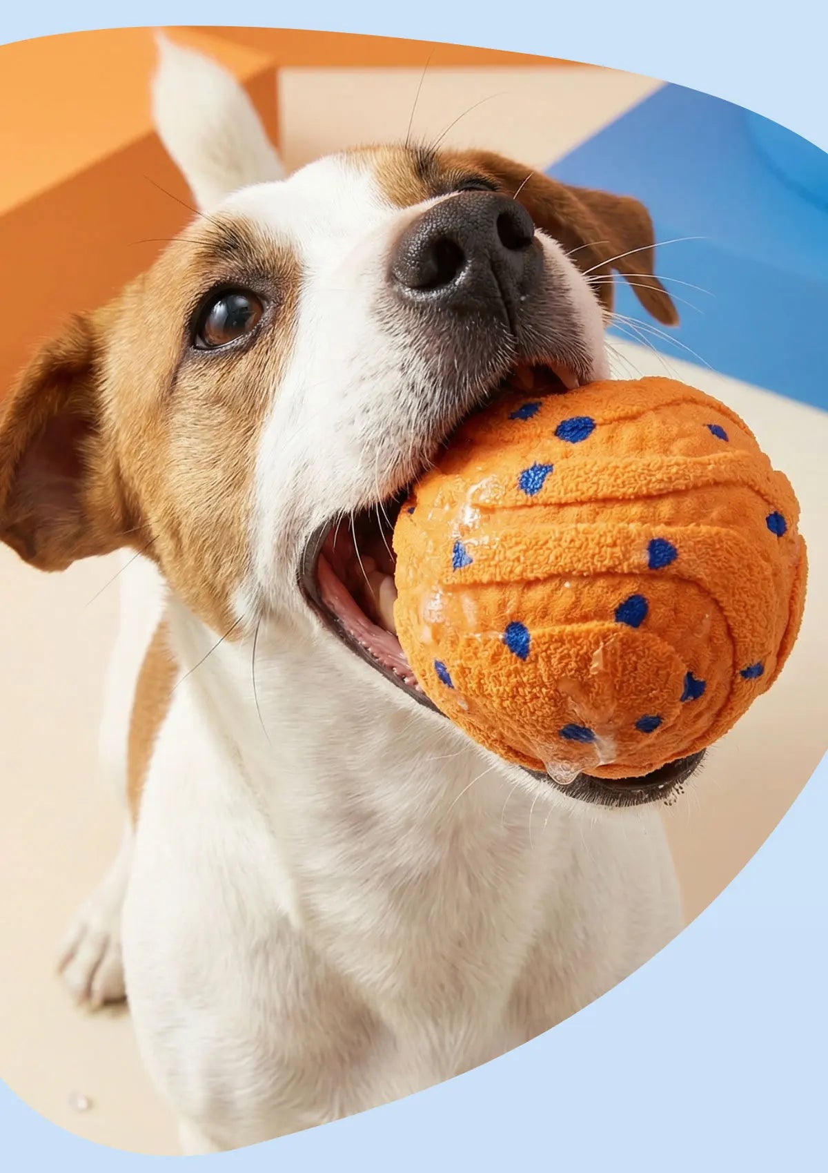 ETPU Dog Bite-Resistant Ball Round Electric Non-Toxic Molar Ball Training Pet Dog Toy Ball Food Grade Certification