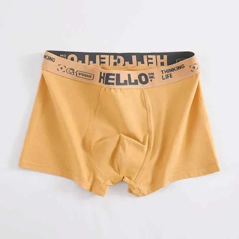 Men's Boxer Briefs Soft Comfortable Breathable Lightweight Daily Wear Male Underpants