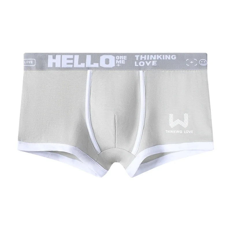 1 caleçon pour homme en coton, sous-vêtement 3 couleurs L XL 2XL 3XL, ceinture douce à lettres respirante, souple, mode sport
