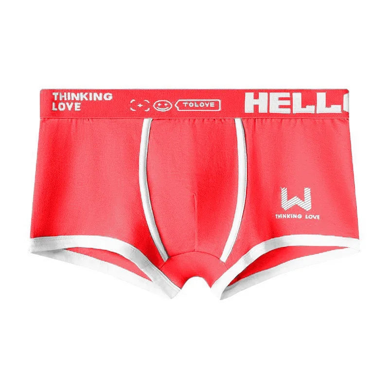 1 caleçon pour homme en coton, sous-vêtement 3 couleurs L XL 2XL 3XL, ceinture douce à lettres respirante, souple, mode sport