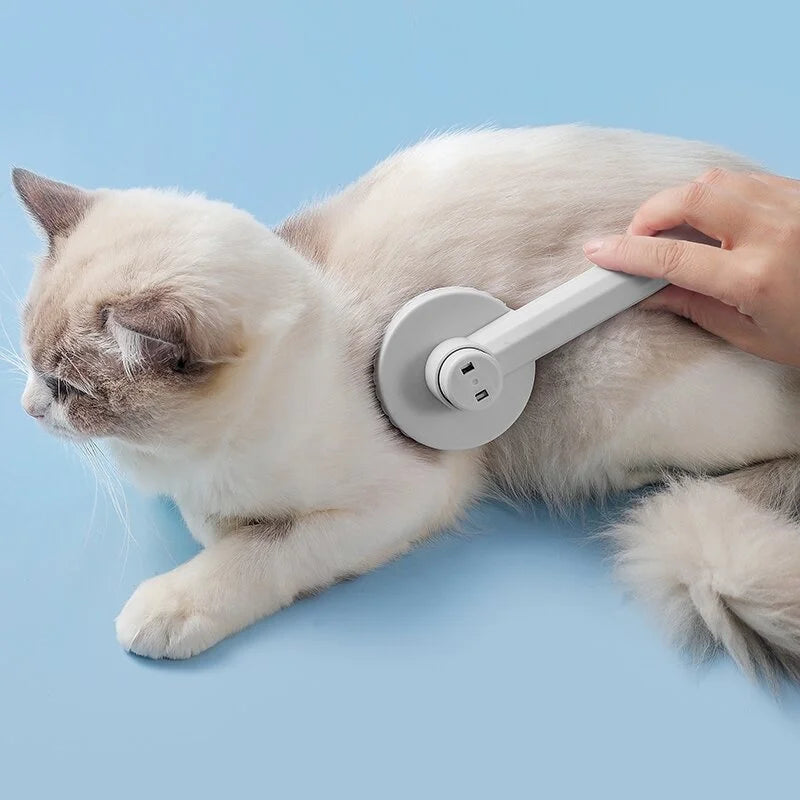 Dog Comb Pet Hair Removal Brush Cats and Dogs Special Comb Beauty Massage Self-cleaning Needle Comb Pet Supplies
