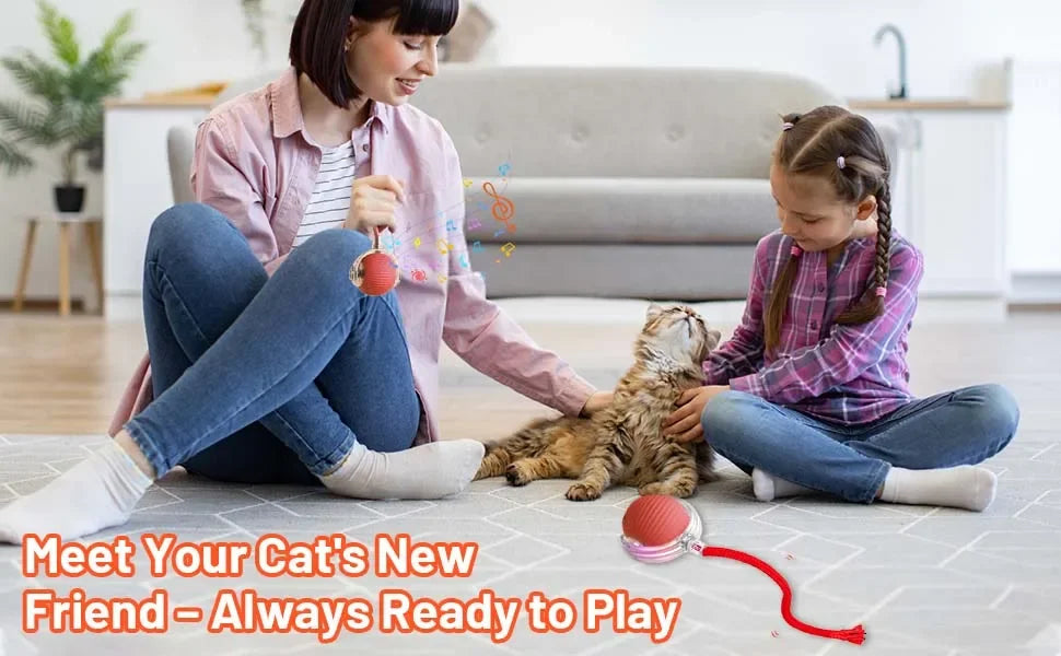iLMH 1/2 PCS Cat Interactive Ball Toy Automatic Rolling Ball Faux Tail Rechargeable Smart Pet Electric Toy Pet Toy Imitate Mouse