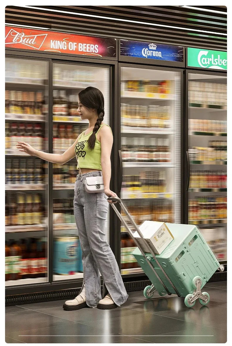 Lightweight Brushed Trolley Luggage Trolley Express Folding Shopping Cart for Climbing Stairs Home Hand Pull