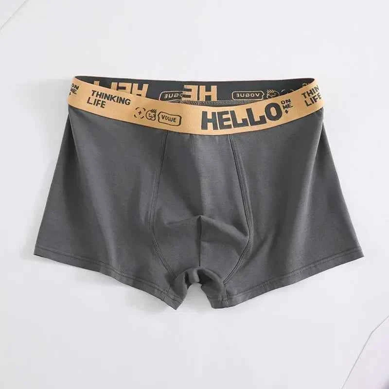 Men's Boxer Briefs Soft Comfortable Breathable Lightweight Daily Wear Male Underpants