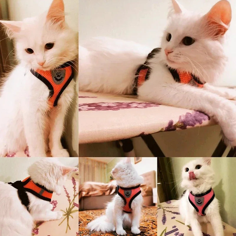 Adjustable Mesh Pet Harness with Leash, Polyester Vest Type Walking Strap for Small Medium Cats Dogs