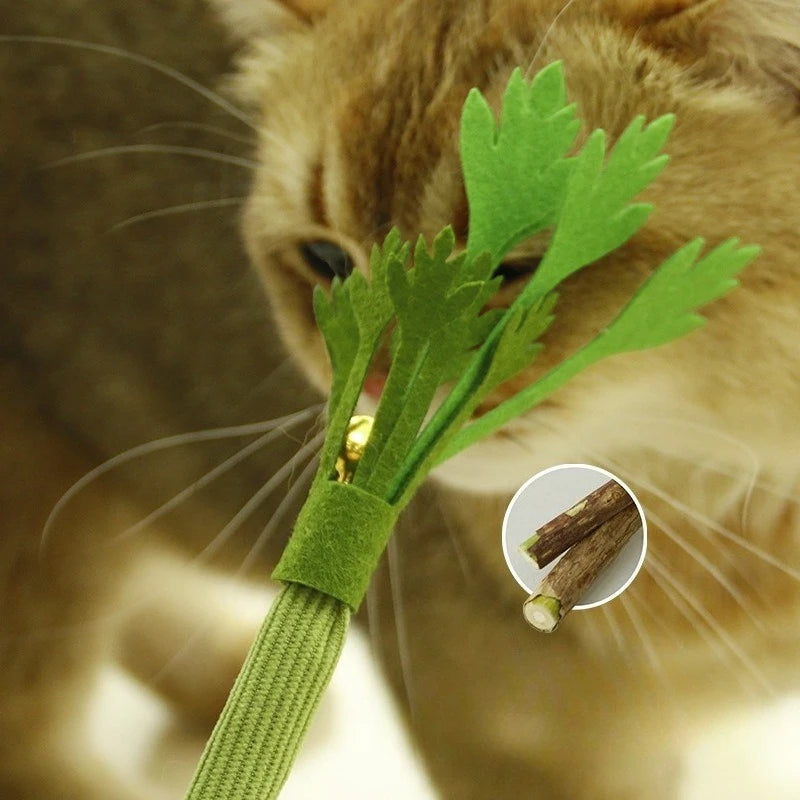 Cat Chew Toys Interactive Self High Catnip Molar Stick Bite With Bell Cats Toy Kitten Toy Natural Catnip Cat Teeth Cleaning Toy