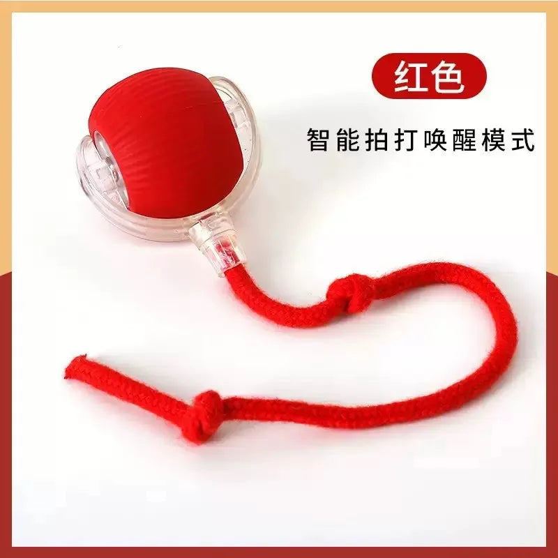 ETPU Dog Bite-Resistant Ball Round Electric Non-Toxic Molar Ball Training Pet Dog Toy Ball Food Grade Certification