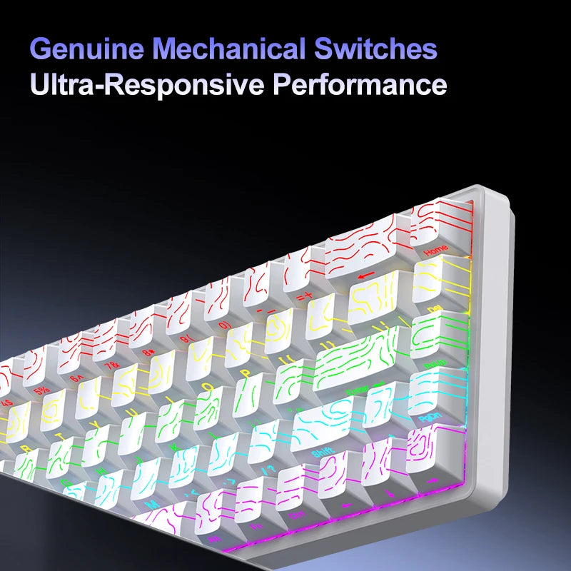 APAYADO A68 Wired Mechanical Keyboard RGB Backlight,Fully Hot-Swappable Keys,ABS Keycaps,68-Key Keyboard for Gaming/Office Use
