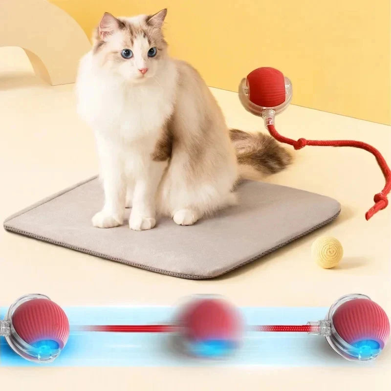 Rechargeable Automatic Rolling Ball Cat Toy – Fake Tail, Imitate Mouse, Electric Interactive for Cats & Dogs