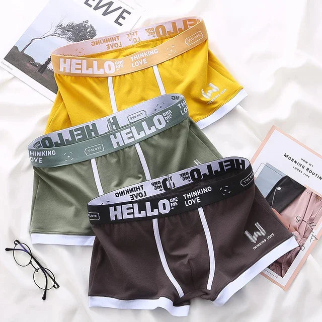 1 caleçon pour homme en coton, sous-vêtement 3 couleurs L XL 2XL 3XL, ceinture douce à lettres respirante, souple, mode sport