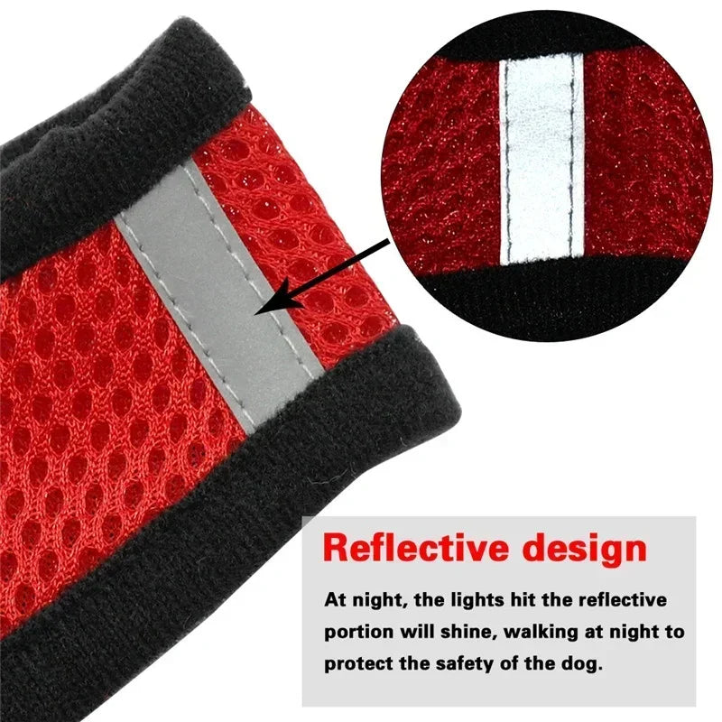 Adjustable Mesh Pet Harness with Leash, Polyester Vest Type Walking Strap for Small Medium Cats Dogs