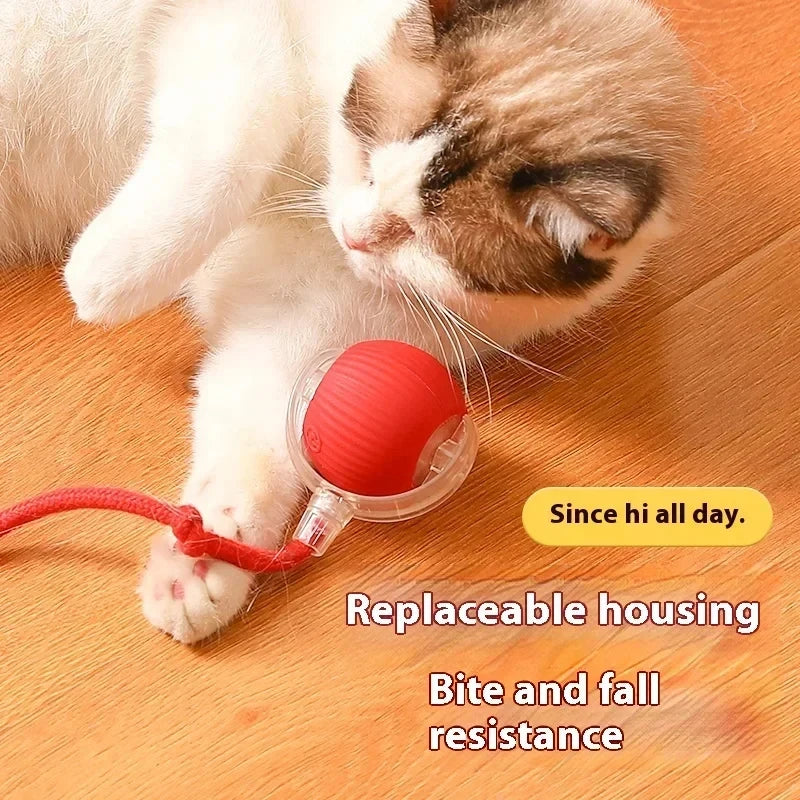 Rechargeable Automatic Rolling Ball Cat Toy – Fake Tail, Imitate Mouse, Electric Interactive for Cats & Dogs