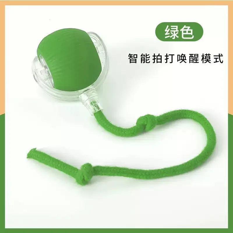 ETPU Dog Bite-Resistant Ball Round Electric Non-Toxic Molar Ball Training Pet Dog Toy Ball Food Grade Certification