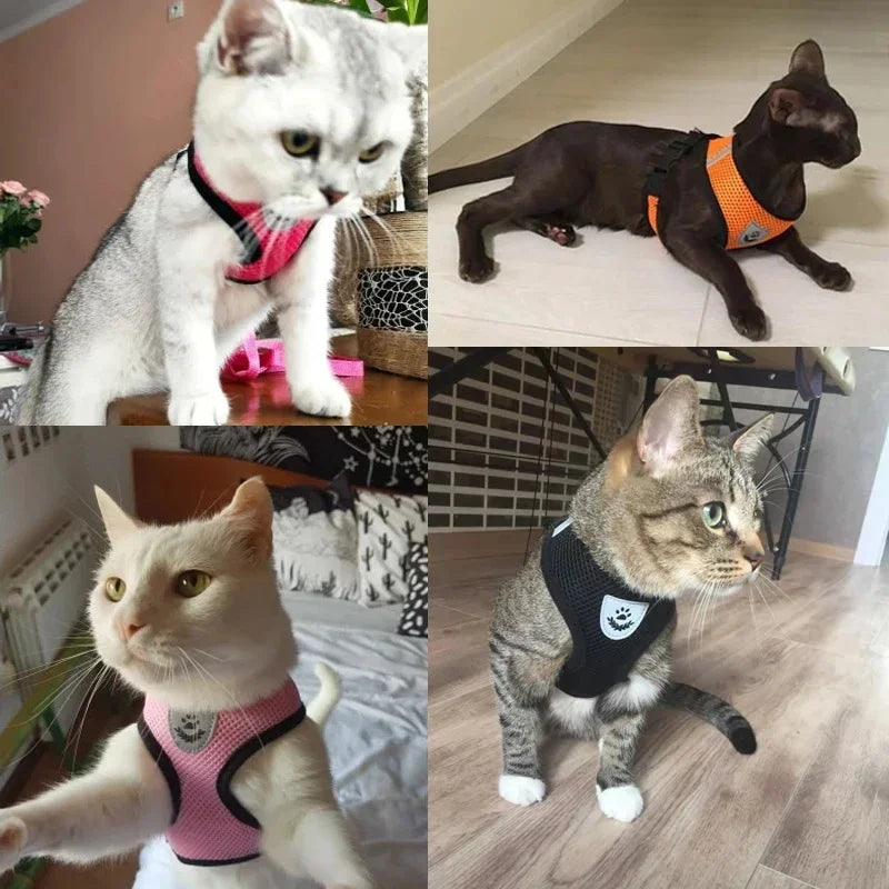 Adjustable Mesh Pet Harness with Leash, Polyester Vest Type Walking Strap for Small Medium Cats Dogs