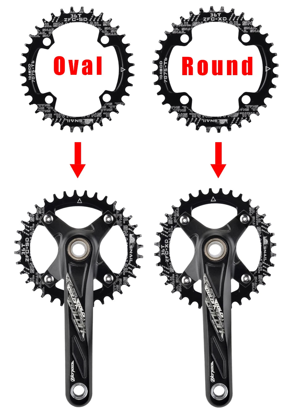 GOLDIX Bicycle Crank Chainring 104BCD MTB Bike Crank Aluminum Alloy with Bottom 170mm Crank Black 32T 34T 36T 38T Plate