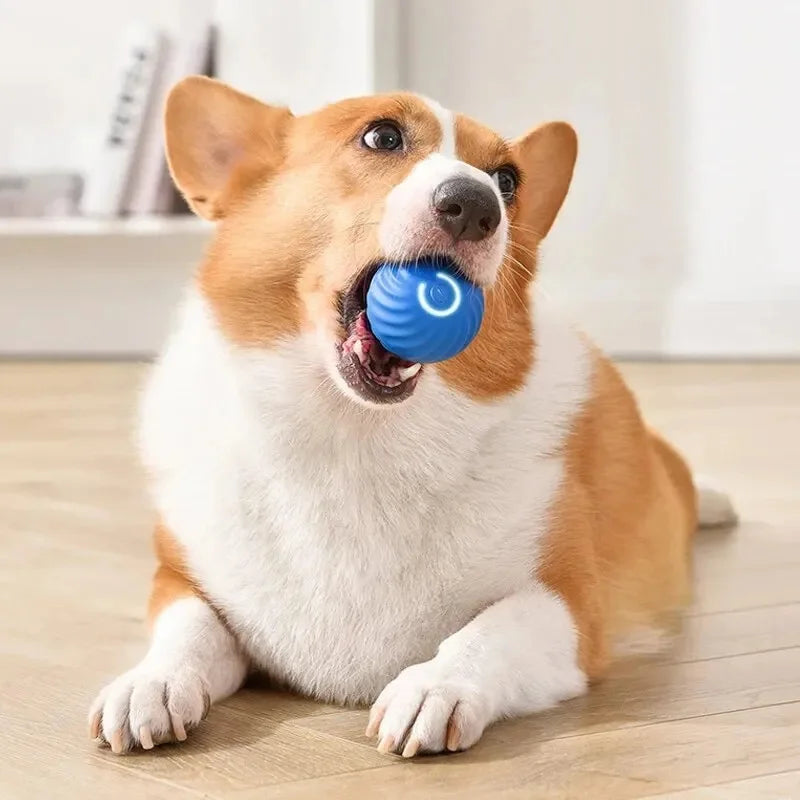 Smart Dog Toys Ball Electronic Interactive Pet Toy Moving Ball USB Automatic Moving Bouncing for Puppy Birthday Gift Cat Product