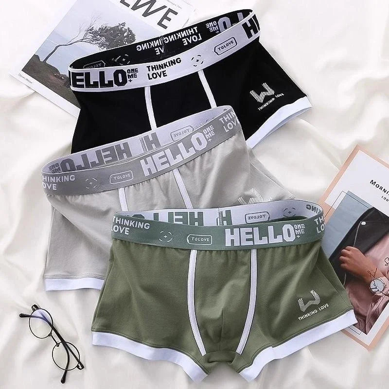 1 caleçon pour homme en coton, sous-vêtement 3 couleurs L XL 2XL 3XL, ceinture douce à lettres respirante, souple, mode sport