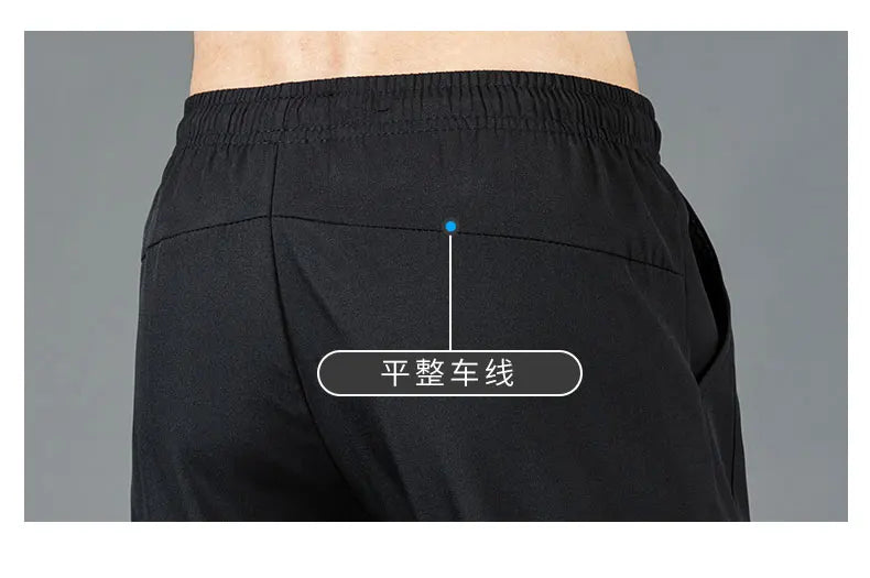 Herren Eisseide-Hose 2025 Sommer Neu Schwarz Grau Dünne Business-Freizeithose Outdoor Elastisch Atmungsaktiv Gerades Bein Jogginghose