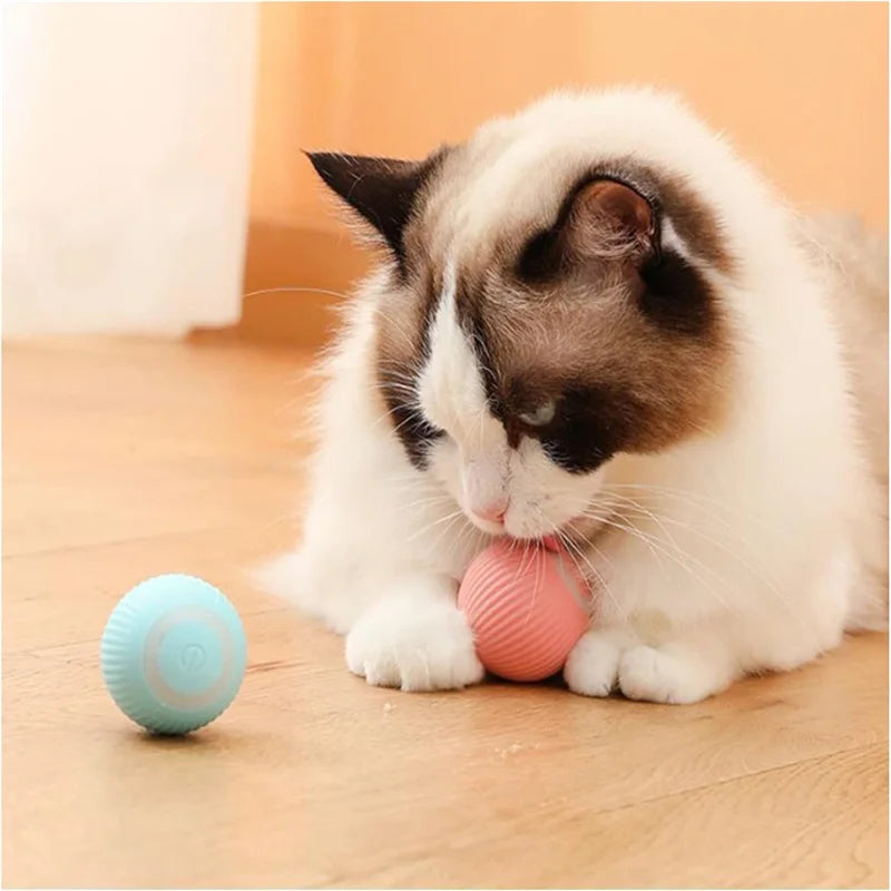 Smart Dog Toys Ball Electronic Interactive Pet Toy Moving Ball USB Automatic Moving Bouncing for Puppy Birthday Gift Cat Product